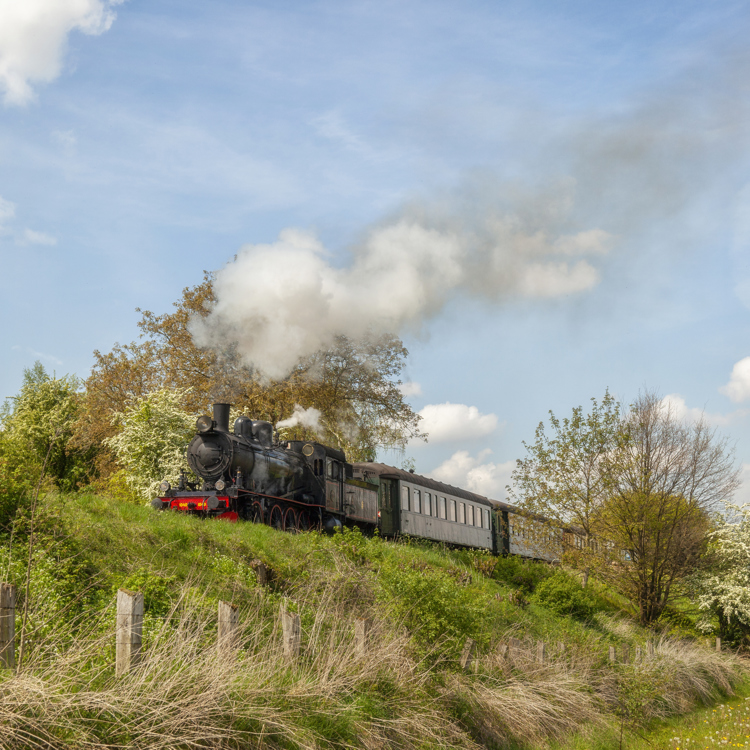 Stoomlocomotief de Miljoenenlijn rijdt door het Zuid-Limburgse landschap