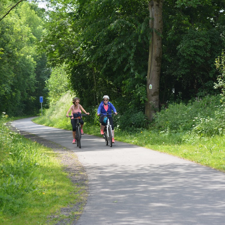 Twee fietsers met helm op fietsen over een verhard fietspad in een bosrijke omgeving