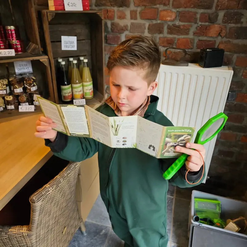 Een Jongen Leest Een Insectenboekje Met Een Enorm Vergrootglas