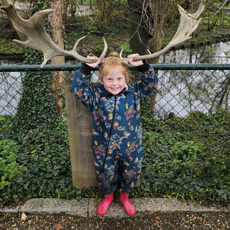 Een Klein Meisje Houdt Een Gewei Van Een Eland Naast Haar Hoofd