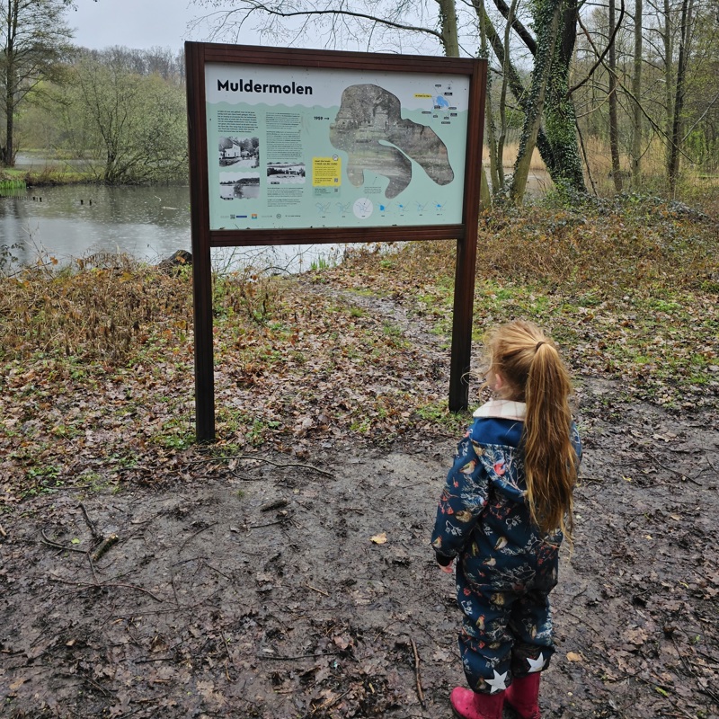 Een Klein Meisje Kijkt Naar Het Informatiebord Van De Muldermolen