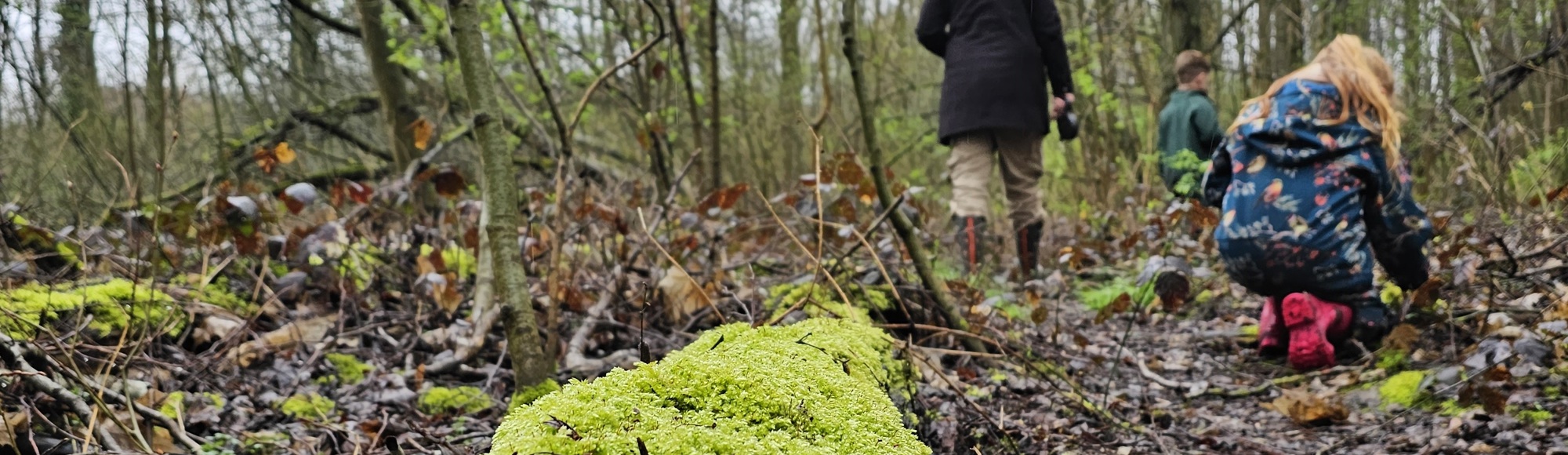 Een Moeder En Dochter Wandelen Door Het Bos