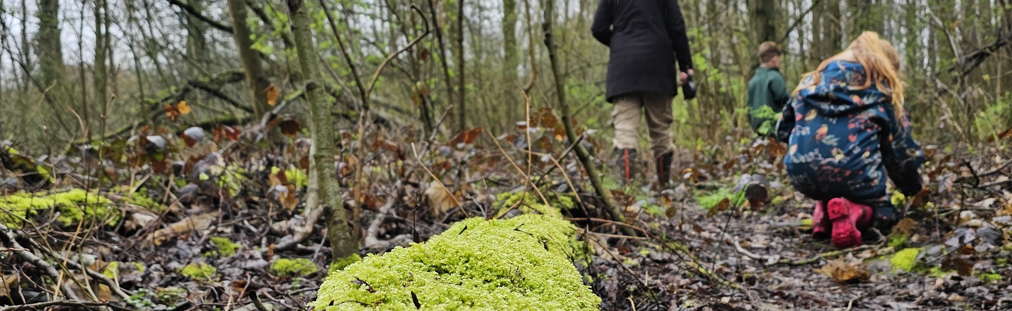 Een Moeder En Dochter Wandelen Door Het Bos