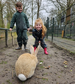 Twee Kinderen Hebben Pret Bij Het Reuzekonijn