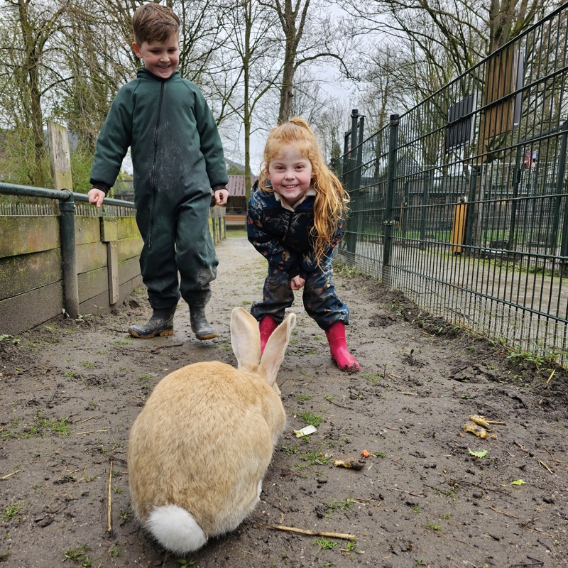 Twee Kinderen Hebben Pret Bij Het Reuzekonijn