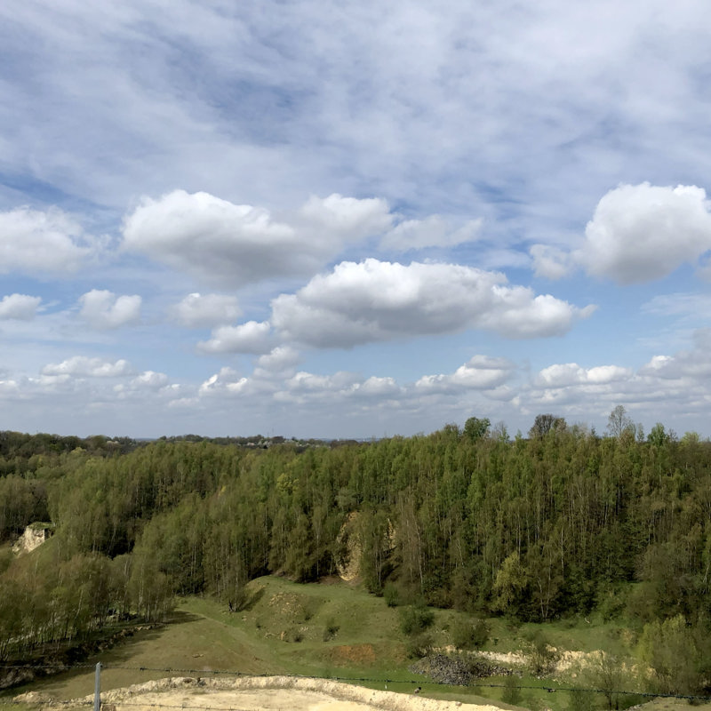 Uitzicht over een groeve met een aansluitend hellingbos