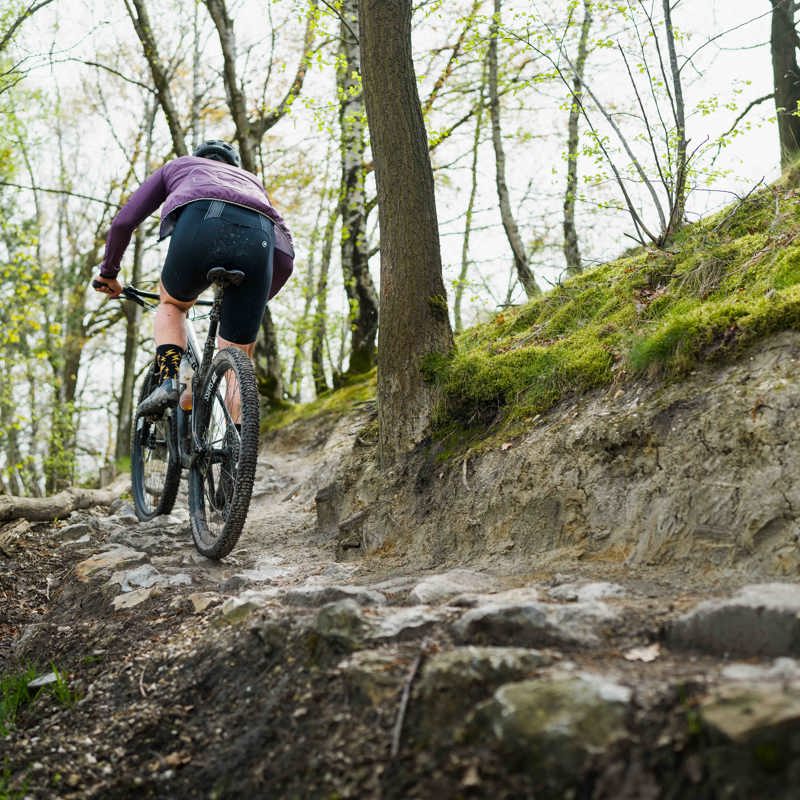 Een mountainbiker fietst een smal bospaadje omhoog