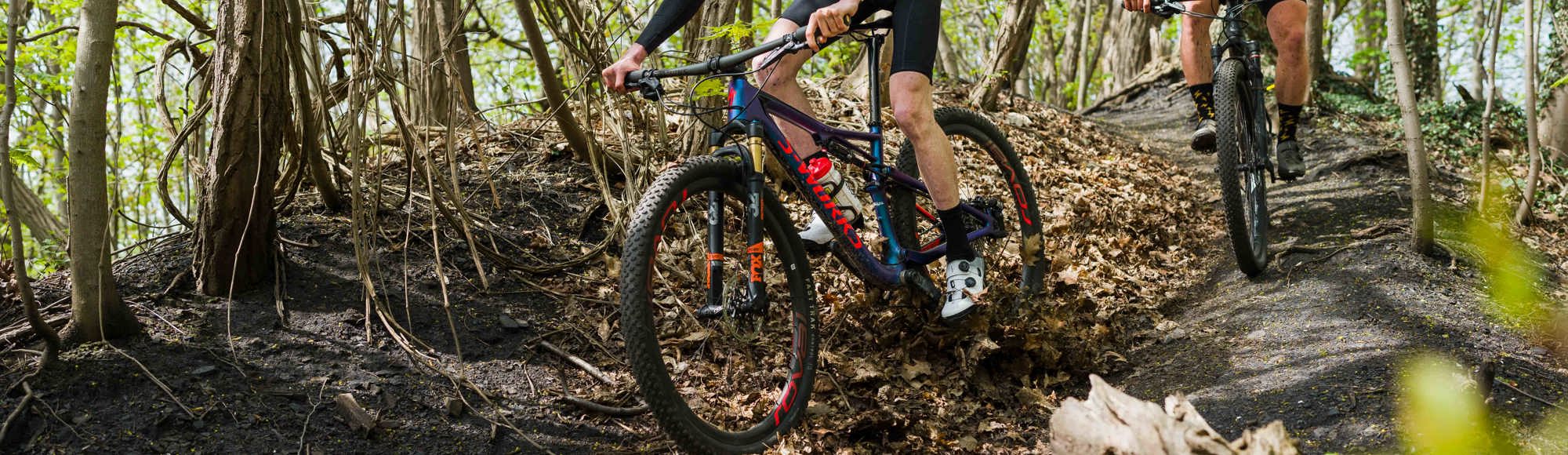 Twee mountainbikers dalen van een smal paadje af in het bos