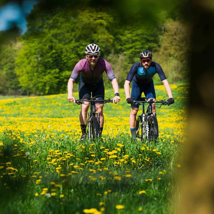 Twee mountainbikers fietsen door een veld vol met gele paardenbloemen