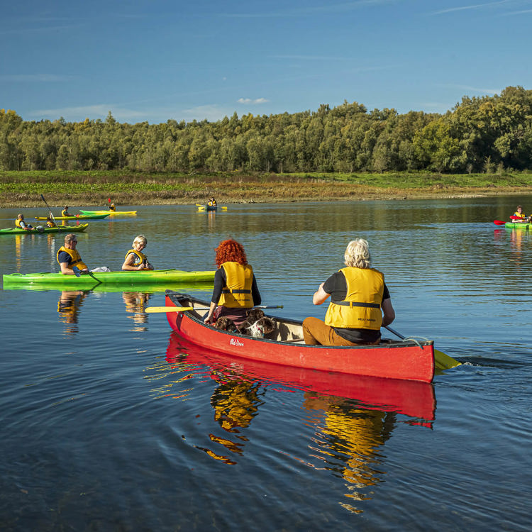 Groep van mensen in groene en rode tweepersoons kajaks op het water