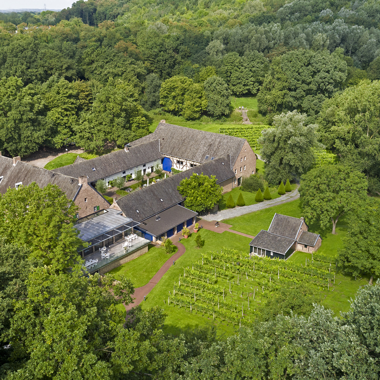 Het complex van Winselerhof met wijngaarden en omgeving van boven