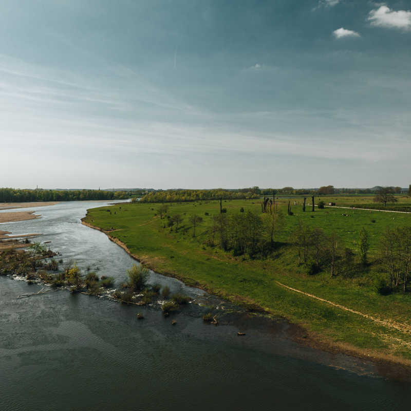 Uitzicht over de Maas en de bomen van de Woodhenge bij Meers