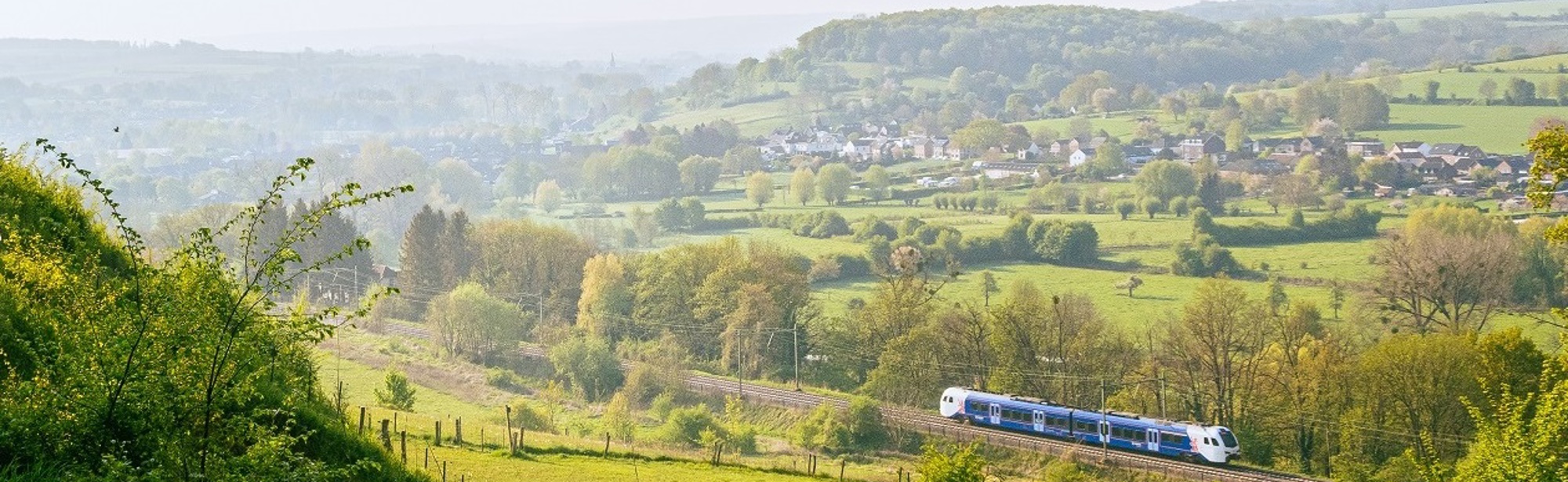 Een Arriva trein doorkruist de Zuid-Limburgse groene heuvels in de zomer