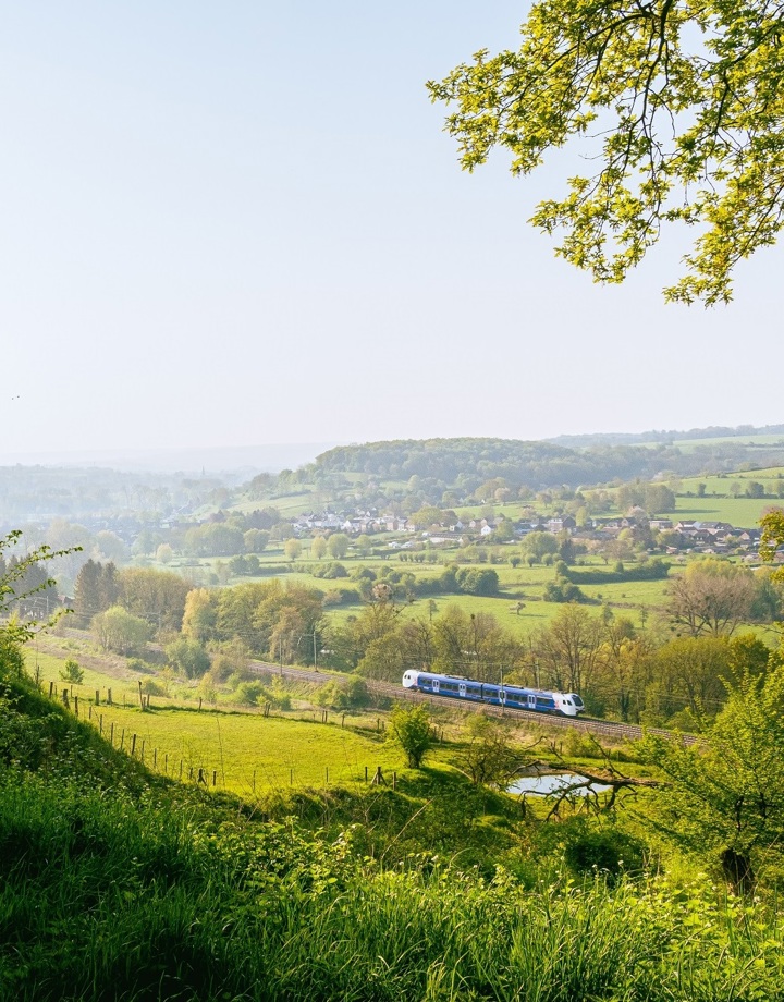 Een Arriva trein doorkruist de Zuid-Limburgse groene heuvels in de zomer