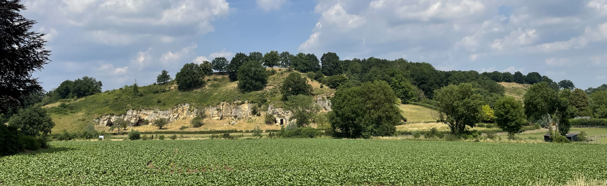 Uitzicht op de mergelwanden van de Bemelerberg