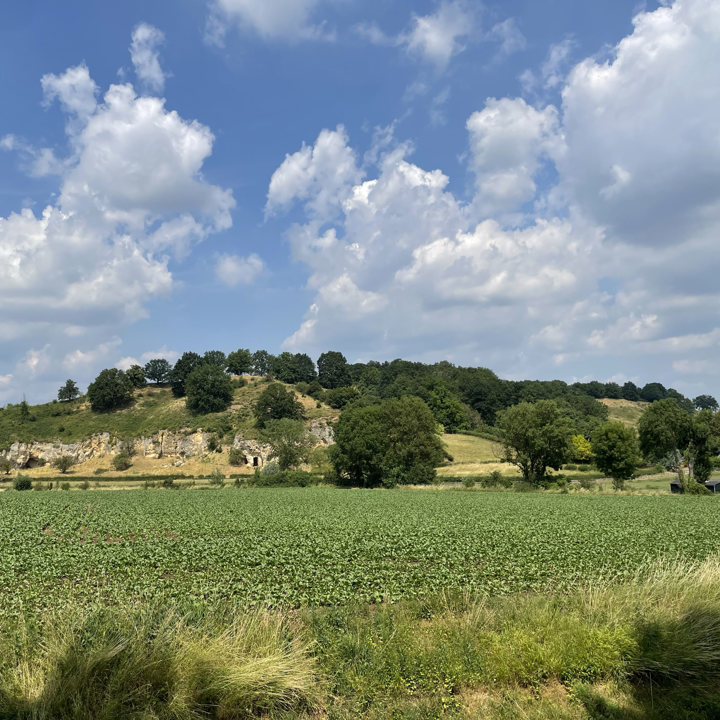 Uitzicht op de mergelwanden van de Bemelerberg