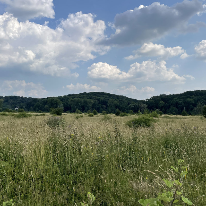 Een zomers uitzicht over de heuvels