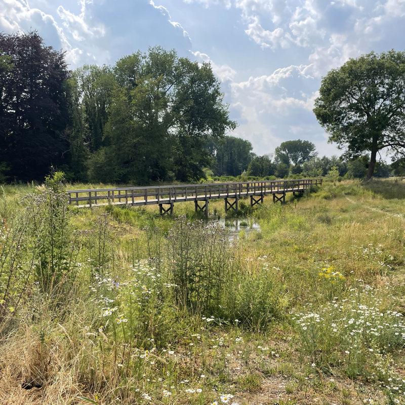 Een bruggetje over een beekje langs een wandelpad midden in de natuur