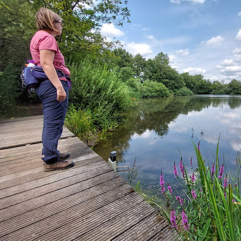 Wandelboswachter Ellen op het bruggetje bij het Tichelgat aan het water