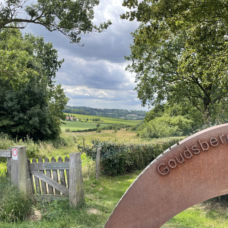 foto bovenaan de goudsberg met een mooi uitzicht