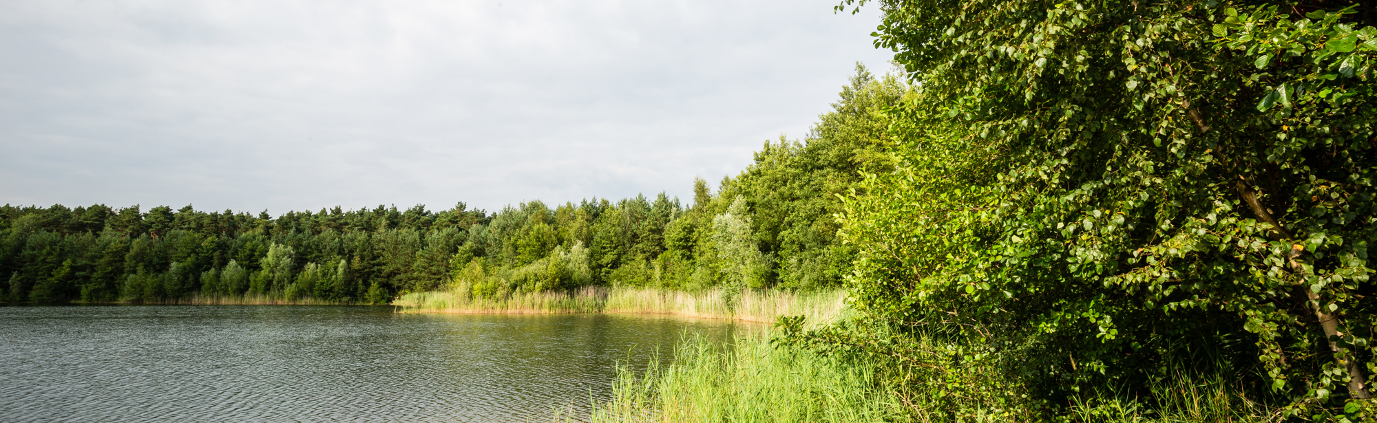 Waterplas Schinveldse Bossen