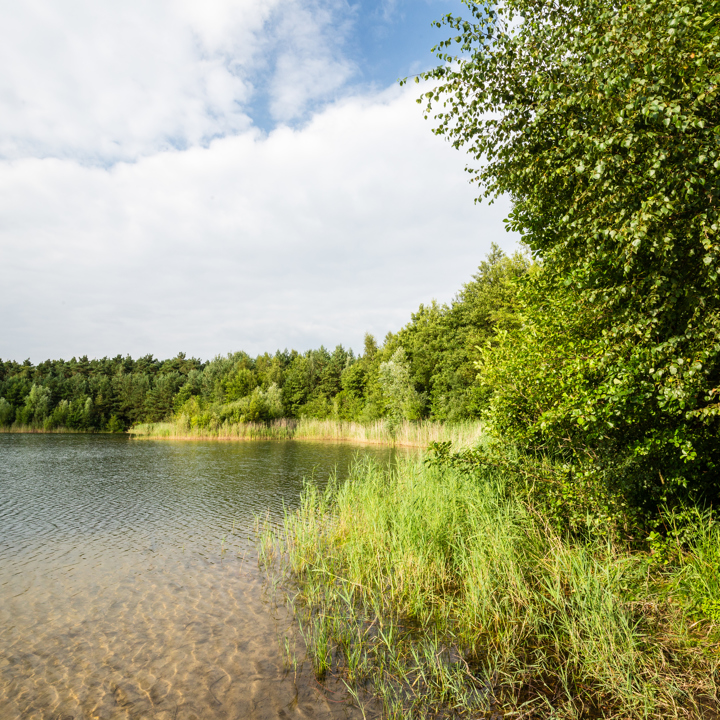 Waterplas Schinveldse Bossen