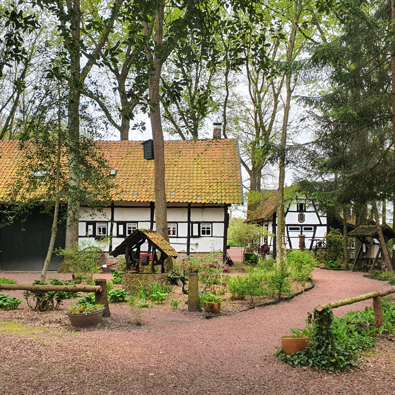 Aanzicht van de vakwerkhuizen van Nonke Buusjke in de nazomer