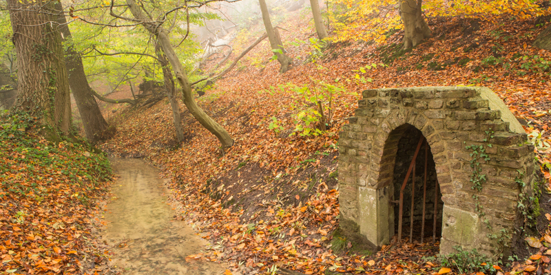 Pad en tunnel in het Kelmonderbos 