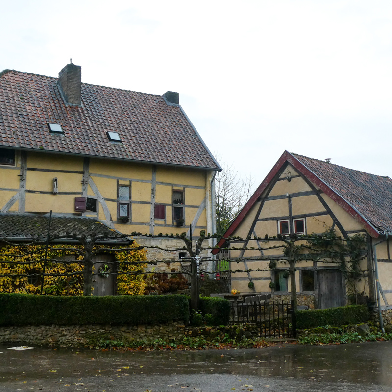 Herfstig aanzicht van gele vakwerkhuizen in zuid-limburg. 