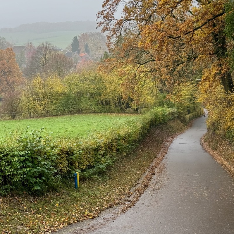 Wandelpaadje in Noorbeek met herfstkleuren 