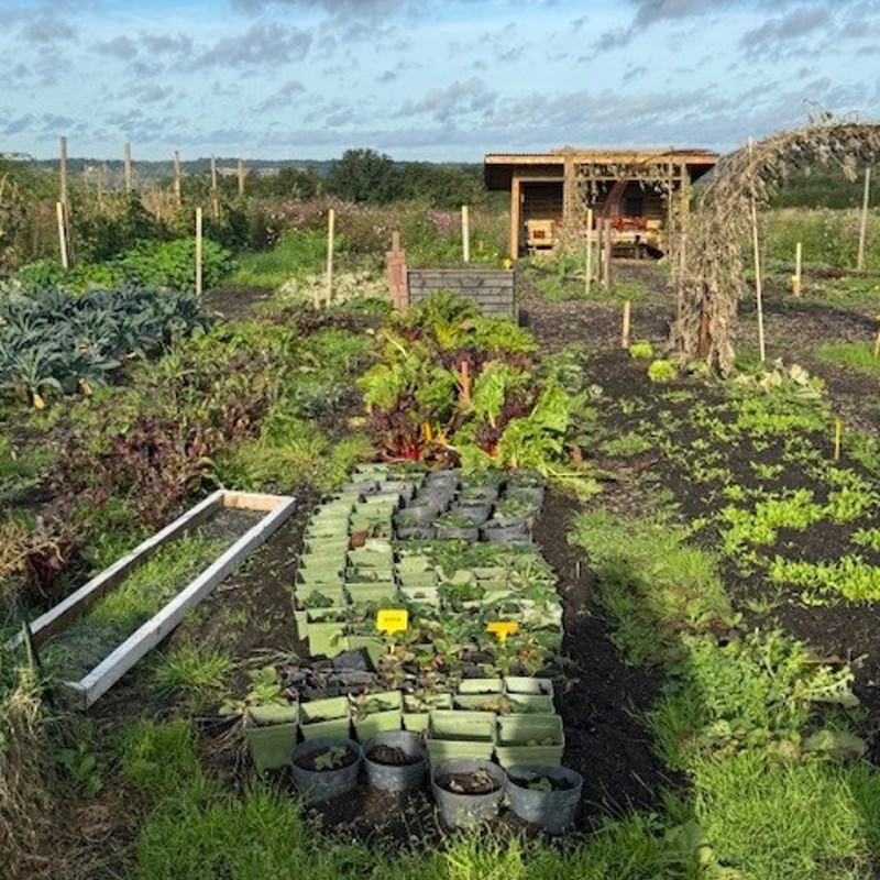 Moestuin bij Hei15