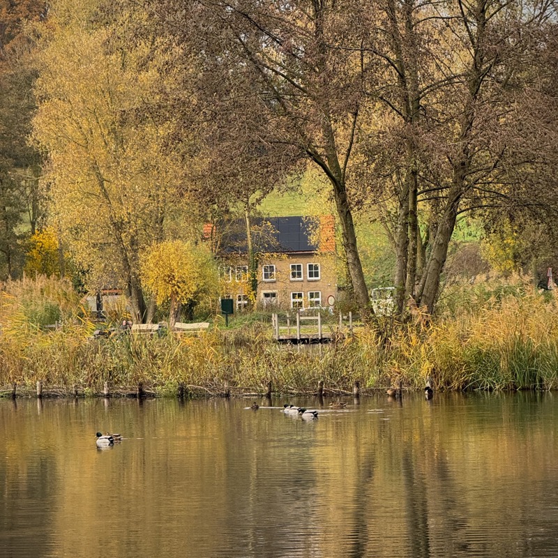 Huis en eenden bij de mulderplas