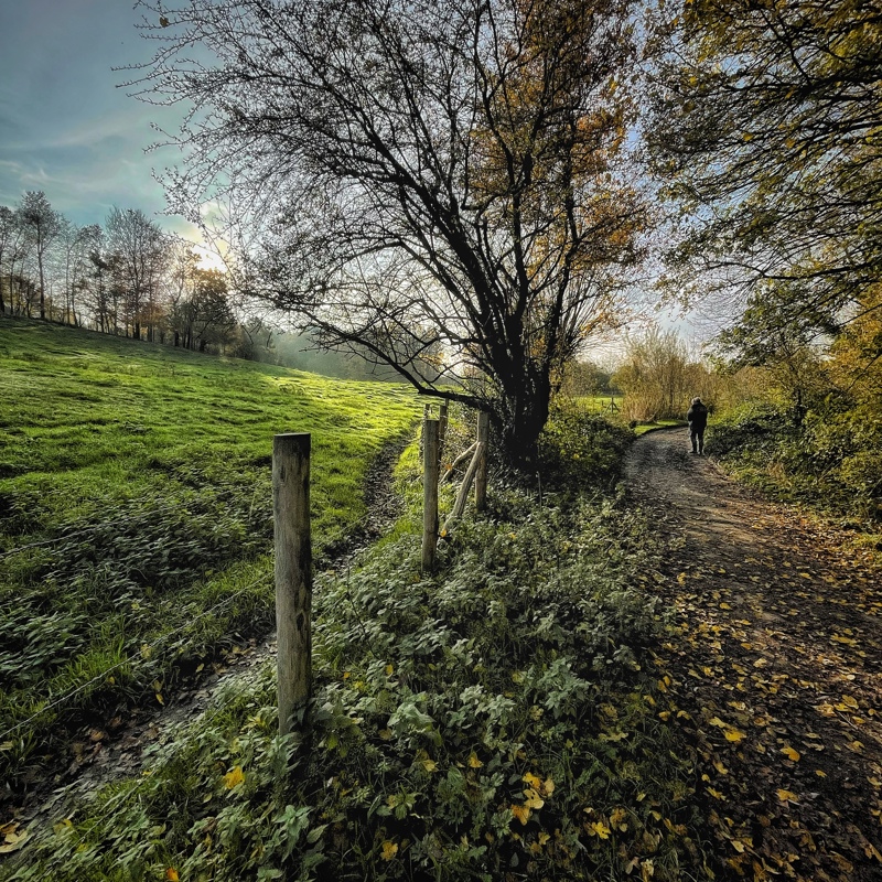 Bij schemering herfstwandeling 