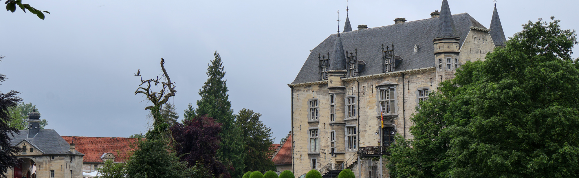 Oude kasteel in een groene omgeving 