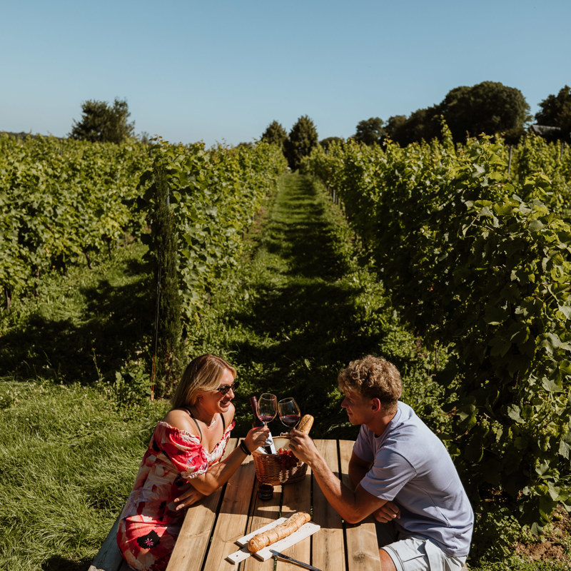 Een koppel proost met rode wijntjes terwijl ze zitten aan een picknickbank voor een wijngaard in Cadier en Keer