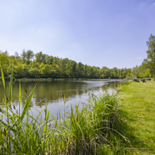 Langs de waterkant bij de visvijver bij de Heksenberg op de route van Rondje Groeves in Parkstad