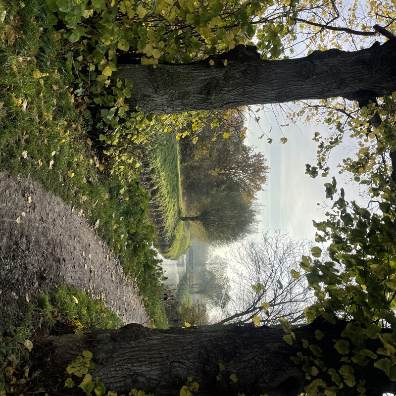 Wandelpaadje langs de Geleenbeek