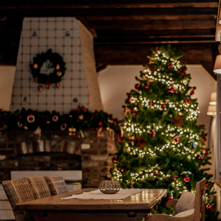 Kerstboom naast de openhaard in een gezellig restaurant van een accommodatie in zuid-limburg.