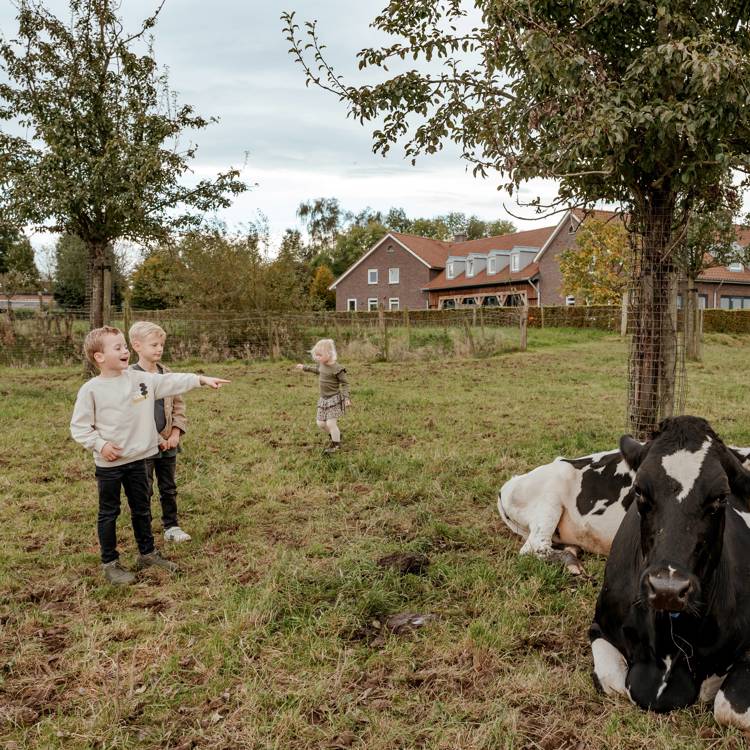 Kinderen spelen in een wei met koeien.