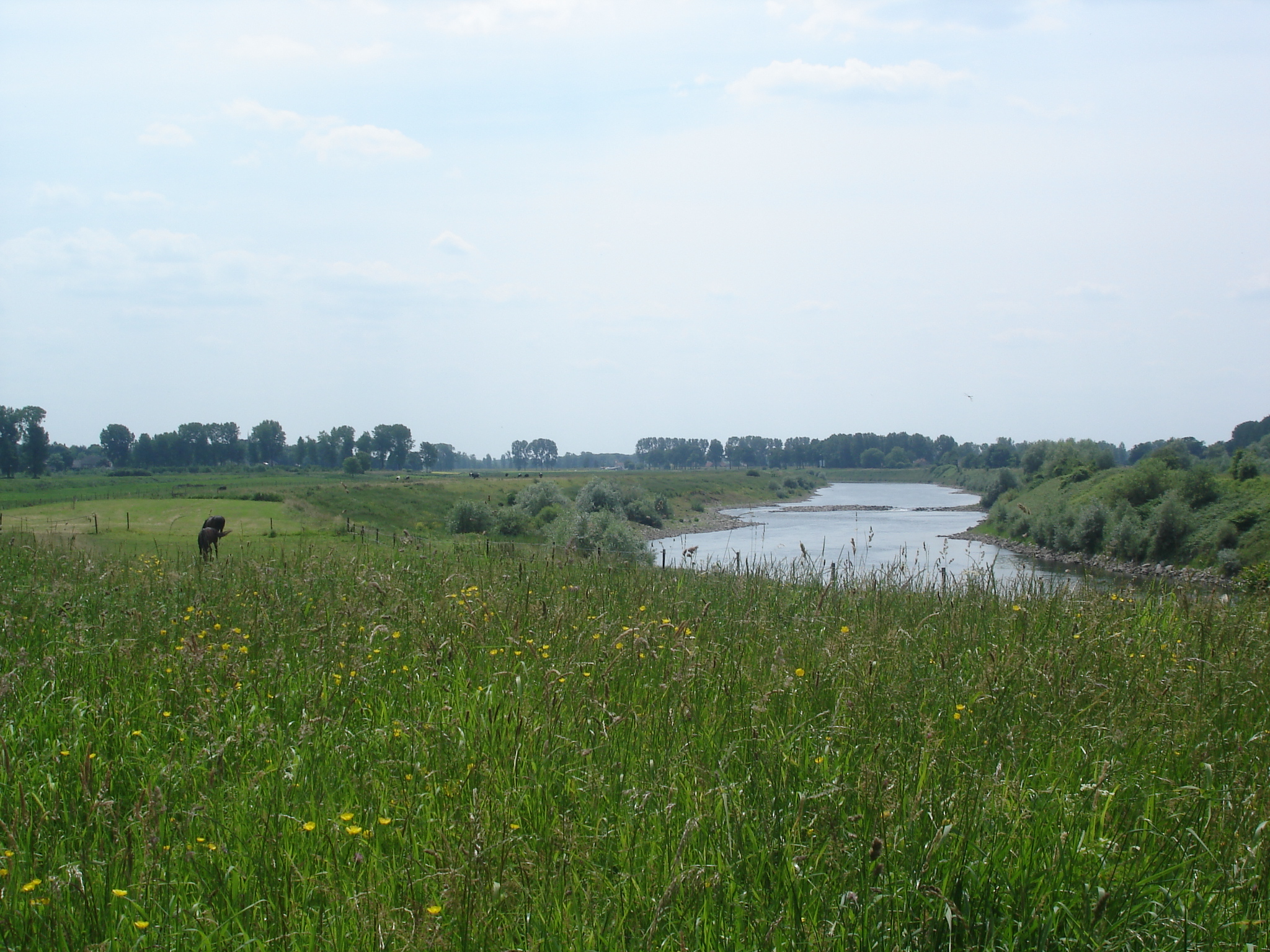 Sporen van Oorlog Grevenbicht - Obbicht