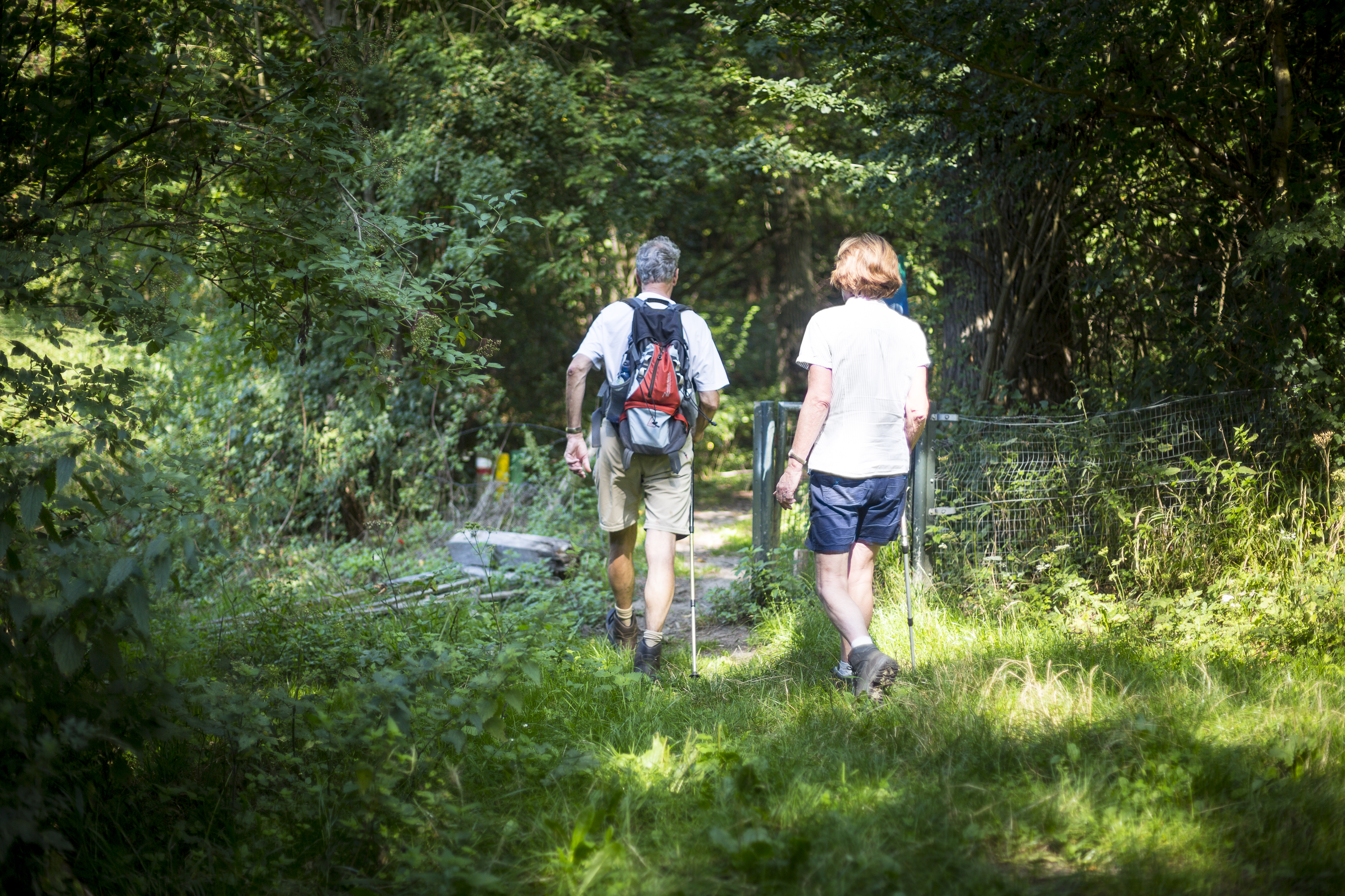 Wandelroute E10 - Eijsden-Margraten - Vakwerkwandeling