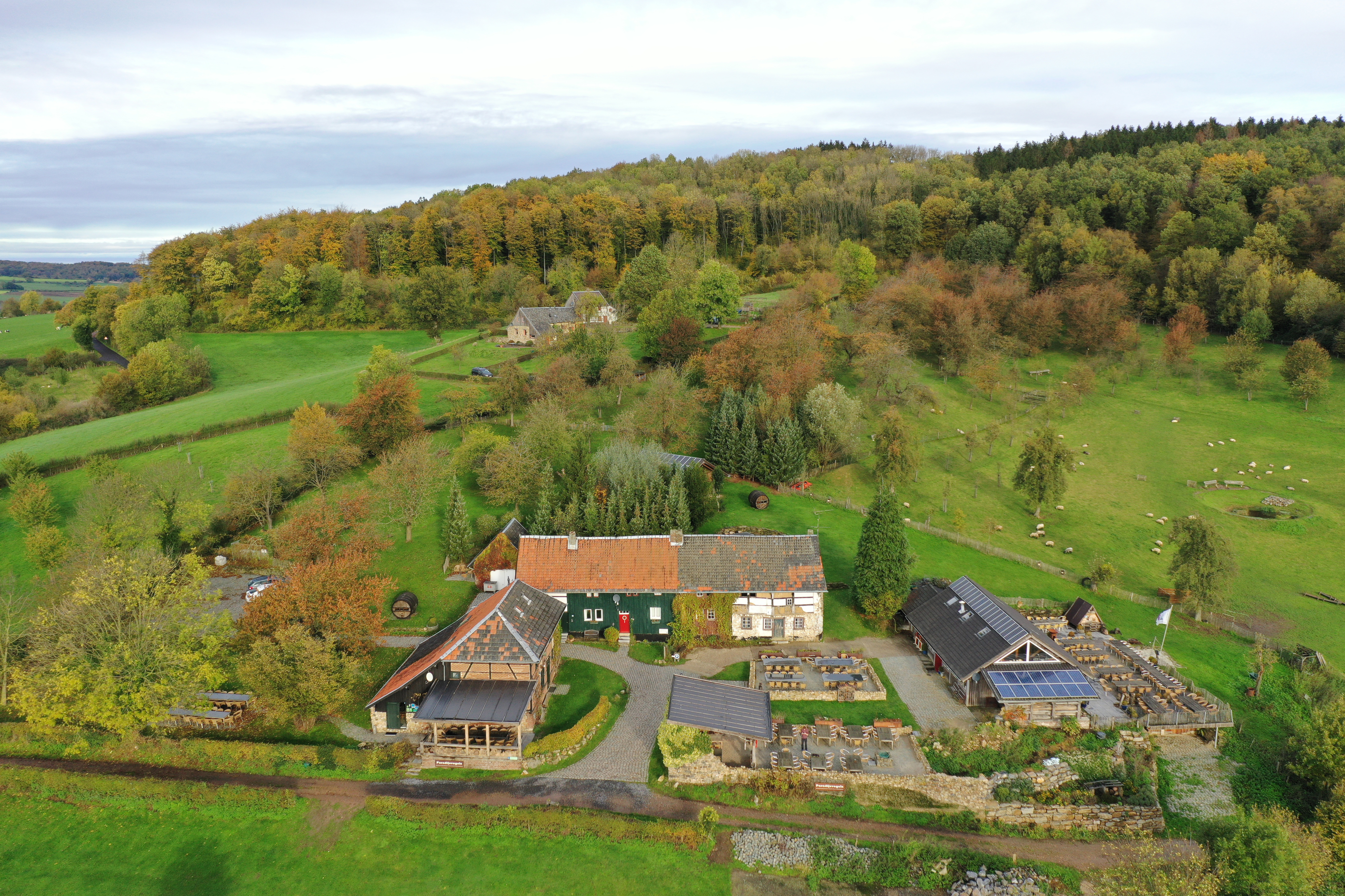 Paradijsvogels-Hoeve ten Bosch