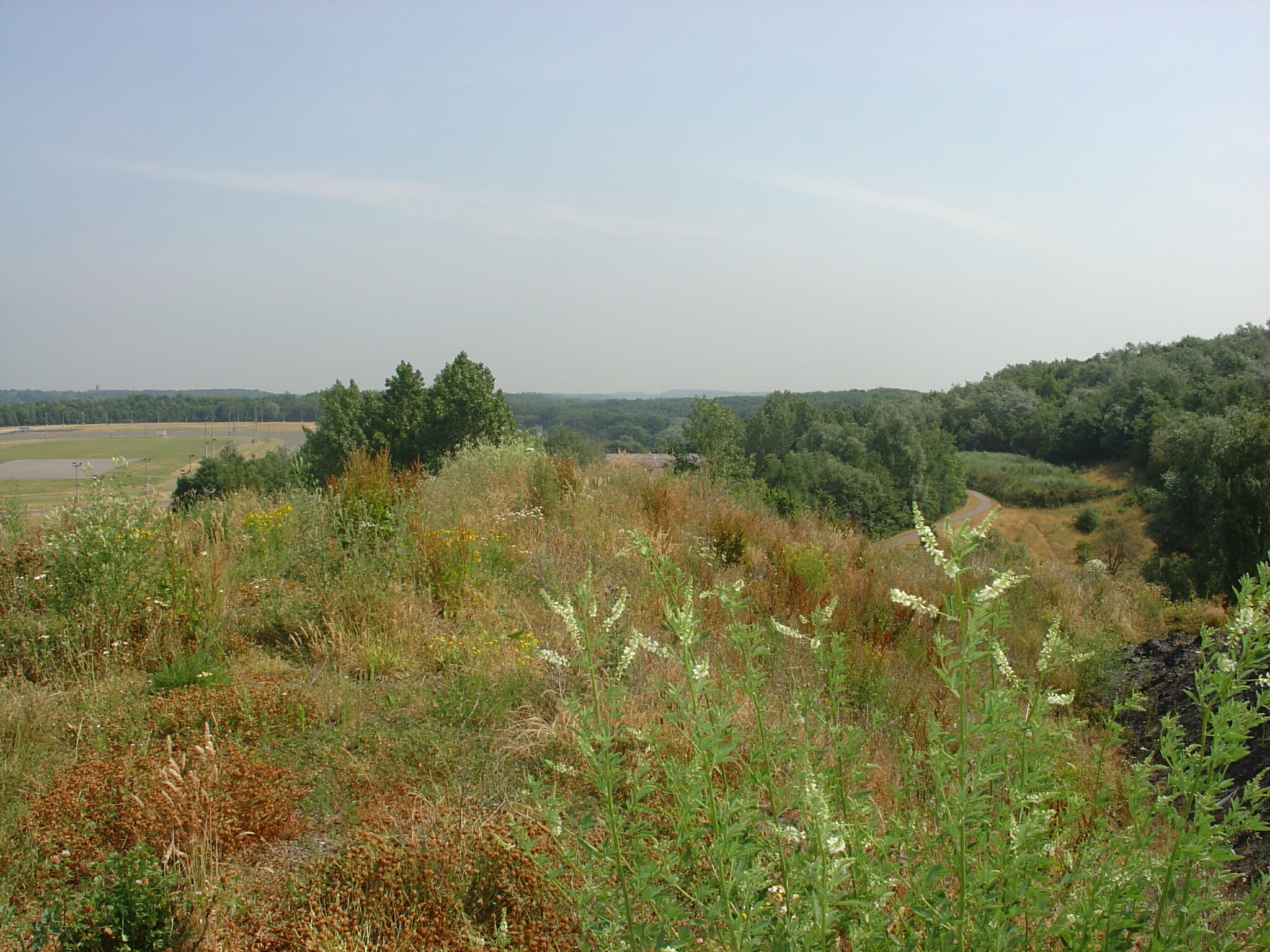 Nieuwenhagen