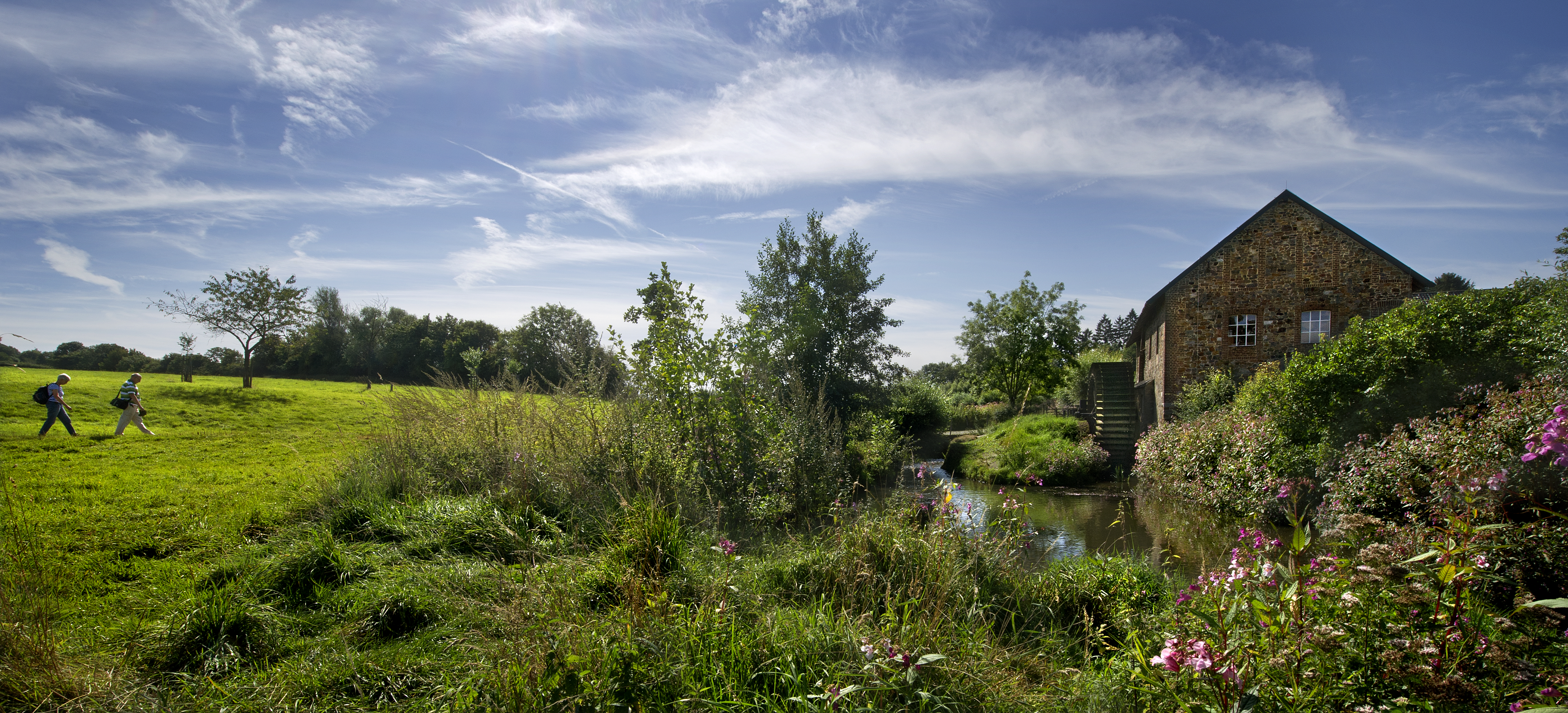 Natuurwandelingen met gids